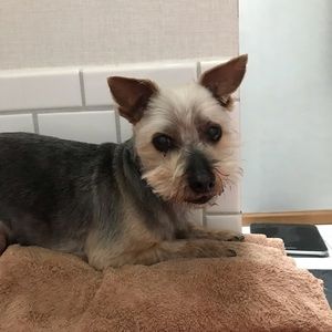 Meet your Posher, Lisa